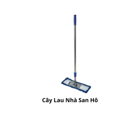 Cây lau sàn san hô